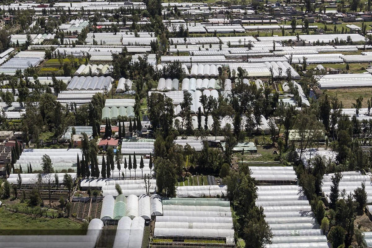 u16904467822058335629fm193 u16904467822058335629fm193