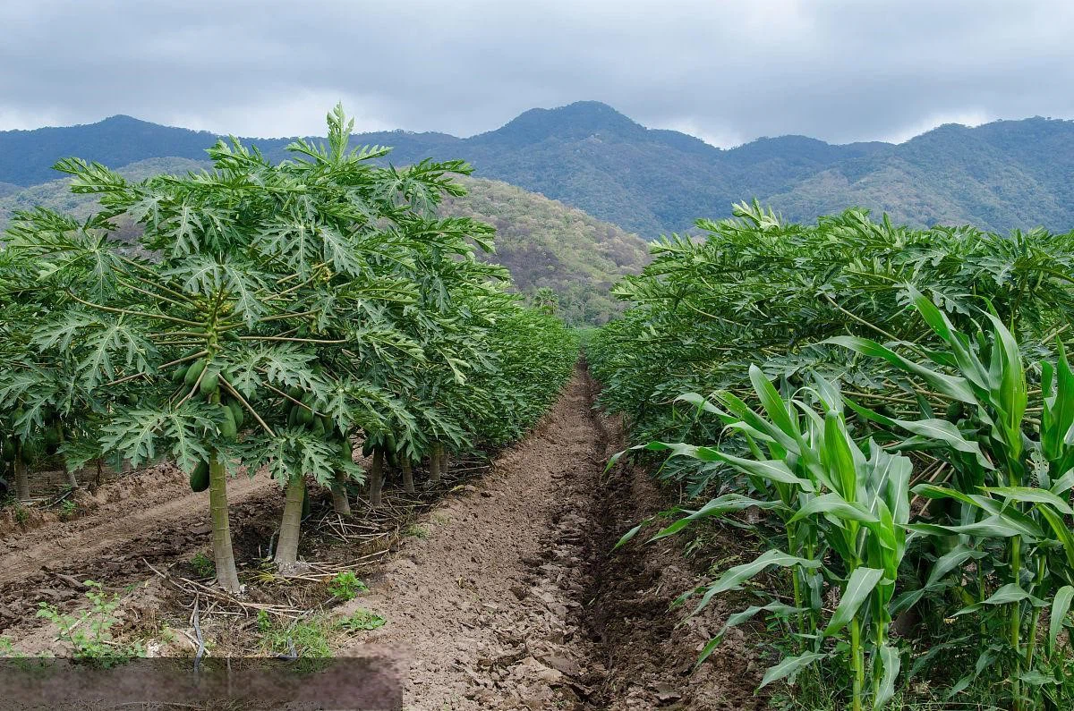 u38259276812456589164fm193 u38259276812456589164fm193